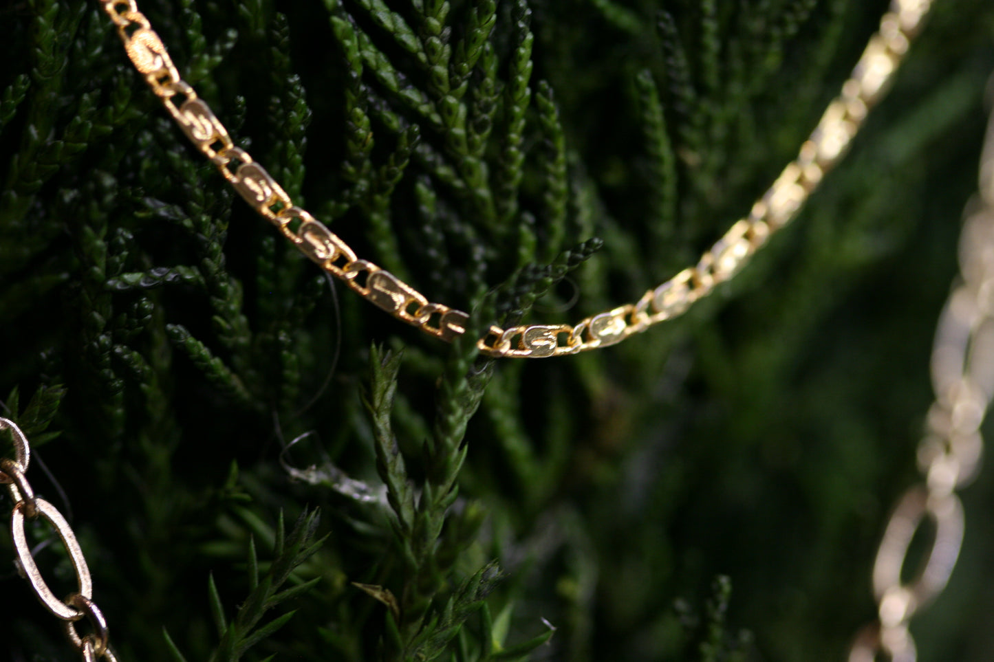 The Simple Dainty Chain